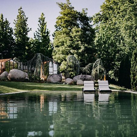 Vinha Boutique Hotel Vila Nova de Gaia Exterior foto The swimming pool at the house